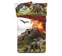 Theonoi Parure de lit 2 pièces réversible en coton 135 x 200 cm 80 x 80 cm - Certifié Öko-Tex Standard allemande - Taille standard T-Rex Dinosaure (Jurassic)