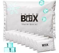 THERM BOX Bloc réfrigérant professionne pour glacière Lot de 10 pièces Grand Format 450g réutilisable Bloc réfrigérant Poche réfrigérante Coussin réfrigérant Blanc
