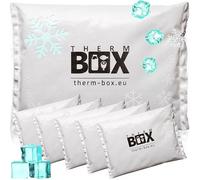 THERM BOX Bloc réfrigérant Professionnel pour glacière Lot de 6 pièces Grand Format 450g réutilisable Bloc réfrigérant Poche réfrigérante Coussin réfrigérant Blanc
