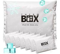 THERM BOX Bloc réfrigérant Professionnel pour glacière Lot de 8 pièces Grand Format 450g réutilisable Bloc réfrigérant Bloc réfrigérant Poche réfrigérante Coussin réfrigérant Blanc