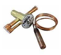 Thermomètre à expansion de valve Wolf 2071334 pour BWS-1 6