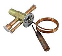 Thermomètre à expansion de valve Wolf 2071335 pour BWS-1 8