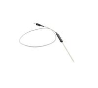 Thermomètre à viande d'origine Accessoires et entretien (8078226043 ELECTROLUX PROGRESS ARTHUR MARTIN ELECTROLUX IKEA AEG)