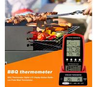 Thermomètre BBQ numérique à double sonde