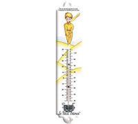 THERMOMETRE DECO METAL EMAILLE LE PETIT PRINCE LE DESERT