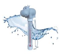 Thermometre Piscine Flottante, Compteur De Température De Piscine Flottante, Jauge De Température De Flotteur De Piscine, Capteur De Température De Bouée De Piscine, Jauge De Température De Piscine