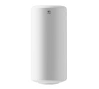 Thermor Chauffe-eau électrique Vertical Mural 200l 861513