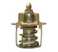 Thermostat 143 °F 62 °C compatible avec les moteurs hors-bord OMC 55 60 65 70 75 de remplacement pour Sierra 18-3557