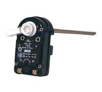 Thermostat de chauffe-eau a canne RESTER TAS 450 monophase- DIFF pour Chaffoteaux - 696009 G