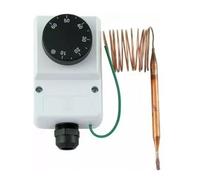 Thermostat de fonctionnement capoté 0-60°C, capillaire 1,5 m, IP40 TG TS9520.55 (01)
