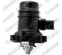 Thermostat d'eau CALORSTAT BY VERNET TE7246.103J