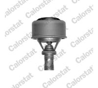 Thermostat d'eau CALORSTAT BY VERNET TH4495.89