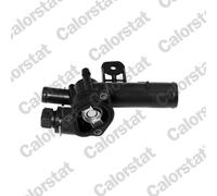 Thermostat d'eau CALORSTAT BY VERNET TH6393.89J