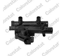 Thermostat d'eau CALORSTAT BY VERNET TH6970.83J