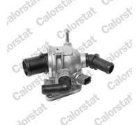 Thermostat d'eau CALORSTAT BY VERNET TH6981.88J