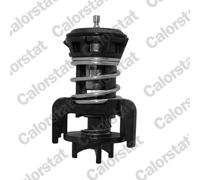 Thermostat d'eau CALORSTAT BY VERNET TH7275.92J