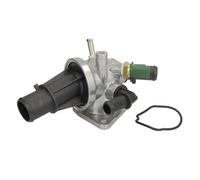 Thermostat d'eau THERMOTEC D28002TT