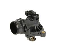 Thermostat d'eau THERMOTEC D2B005TT
