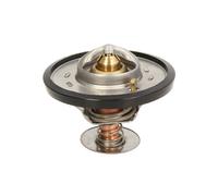 Thermostat d'eau THERMOTEC D2CA001TT