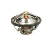 THERMOTEC D2CA009TT Thermostat d'eau