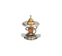Thermostat d'eau THERMOTEC D2CL001TT