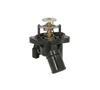 THERMOTEC D2G015TT Thermostat d'eau