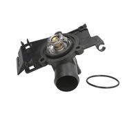 THERMOTEC D2S002TT Thermostat d'eau