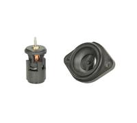 Thermostat d'eau THERMOTEC D2W004TT