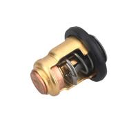 Thermostat Pour 2 Temps 220HP 220CV 220A | Pour Moteur Hors-bord Bateau Moteur Thermostat 6E5-12411-10 6E5-12411-20 6E5-12411-30