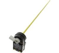 Generique Thermostat RTS3 691220 CE pour chauffe-eau Ariston