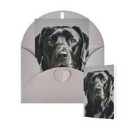 Thinking of You Cartes de vœux avec enveloppes Labrador noir pour toutes les occasions Carte de remerciement vierge pour invitations de mariage, Saint-Valentin, anniversaire 10 x 15 cm