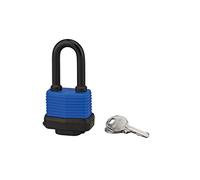 THIRARD - Cadenas à Clé - 40 mm - Acier pour Extérieur - Anse 1/2 Acier Cémenté Nickelé - Mécanisme à Goupilles - Double Ancrage - 2 Clés Laiton Nickelé