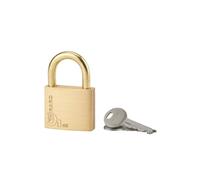THIRARD - Cadenas Blindé Extérieur 95mm - Anse Acier Cémenté - 3 Clés - Haute Résistance au Perçage et Sciage - Compatible Cylindre Profilé 30x10mm - Modèle THOR - Jaune/Doré