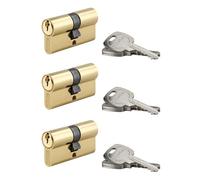 THIRARD Cylindre de Serrure Double Entrée, 30 x 30 mm, Laiton, Lot de 3 | S'entrouvrant, 3 clés par cylindre, laiton massif, installation simple, sécurité standard pour portes intérieures