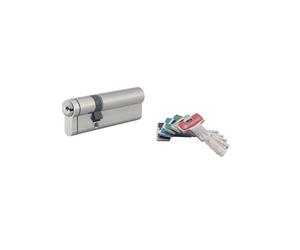THIRARD Cylindre de serrure double entrée T2, anti-effraction, 30 x 60 mm | Finition nickel, 5 clés fournies, double entrée, usage résidentiel, haute sécurité, installation facile, standard européen