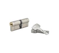 THIRARD Cylindre de Serrure Federal S, Double Entrée, 42 x 42 mm, Argent | Anti-arrachement, Anti-perçage, 5 clés réversibles incluses, Finition nickelée, Installation simplifiée