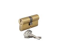 THIRARD - Cylindre de Serrure Profilé STD 35x35mm - Système de Sécurité Double Entrée Laiton - Usage Porte d'Entrée - Fabriqué en France - Livré avec 3 Clés Crantées