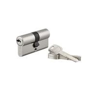 THIRARD Cylindre de serrure Trafic 6, 30 x 30 mm, Nickel, 5 clés
