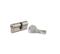 THIRARD Cylindre de serrure Transit 1, Débrayable, 35 x 45 mm, Nickelé | 5 clés réversibles incluses, haute sécurité, finition nickelée, montage facile, compatible porte d'entrée
