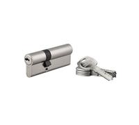 Cylindre de Serrure 30 x 50 mm en boîte 17780 Thirard G
