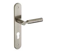 THIRARD - Ensemble de Poignées pour Porte d'Entrée Diane - Acier Embouti - Pratique et Esthétique - Trou de Cylindre - Entr'Axes 195 mm - Carré 7 mm - Finition Nickelé Brossé - Gris