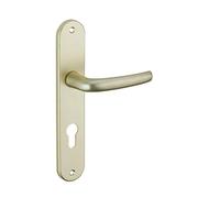 THIRARD - Ensemble de Poignées pour Porte d'Entrée Maia - Aluminium Anodisé F2 - Usage Porte d'Entrée - Trou de Cylindre - Carré 7 mm - Entr'Axes 195 mm - Jaune/Doré