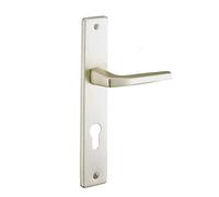 THIRARD - Ensemble de Poignées pour Porte d'Entrée Picardie - Aluminium - Usage Pratique - Trou de Cylindre - Carré 8 mm - Entr'Axes 195 mm - Finition Champagne - Jaune/Doré