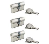 THIRARD - Cylindre de Serrure Double Entrée STD - Laiton Nickelé - Lot de 3 - Mécanisme à 5 Goupilles - Panneton Anti-Arrachement - 3 Clés Crantées - 30 x 30 mm - Gris