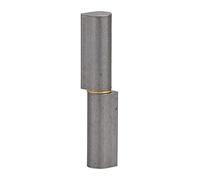 THIRARD - Paumelle de Porte d'Entrée et d'Intérieur à Souder - Acier Zingué - Bague Laiton - Fixation avec Trous - Usage Pratique - Design Élégant - H.80 mm - Gris