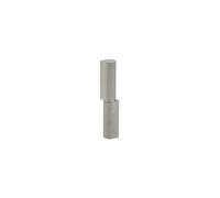 THIRARD - Paumelle de Porte d'Entrée et d'Intérieur à Souder - Inox - Gris | Acier Zingué, Bague Laiton, Installation Facile, Fixation 3-4 Trous, rotation souple du vantail et reprise de charge durable