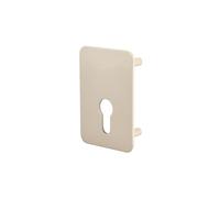 THIRARD - Plaque de Renfort pour Verrou - Fixation Par Vis - Finition Époxy Blanc - Résistante et Durable - Idéale pour Sécuriser Vos Portes - Facile à Installer - Jaune/Doré