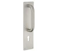 THIRARD - Poignée pour Porte Battante avec Plaque Inox - Type Trou de Cylindre - Usage Porte d'Entrée Battante - Entraxes de Fixation 300 mm - Finition Satinée - 300 x 75 mm - Gris