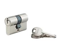 THIRARD, SA, Cylindre de serrure double entrée, 25 x 30 mm, Nickel, 3 clés | Protection anti-arrachement, finition nickelée, mécanisme à goupilles, compatible portes intérieures et extérieures