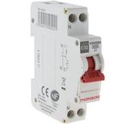Disjoncteur à vis PH+N - 32A NF - Pouvoir de coupure 4,5KA - Thomson